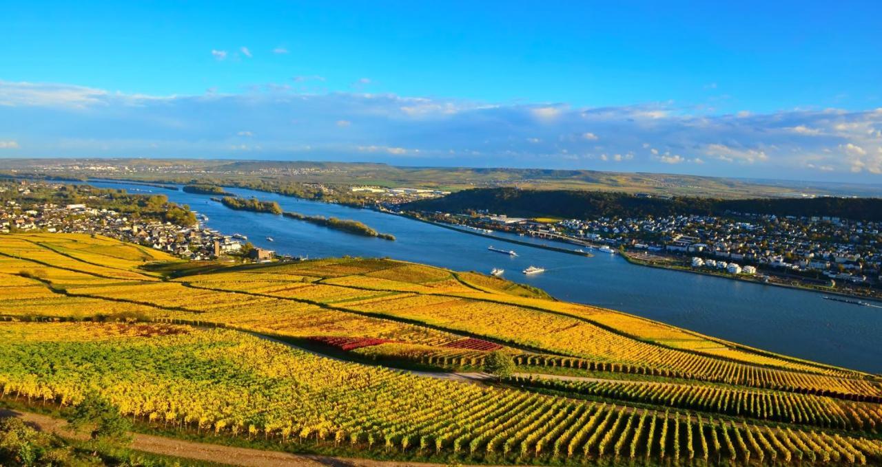 Hotel Kronenschloesschen Eltville am Rhein Exteriér fotografie
